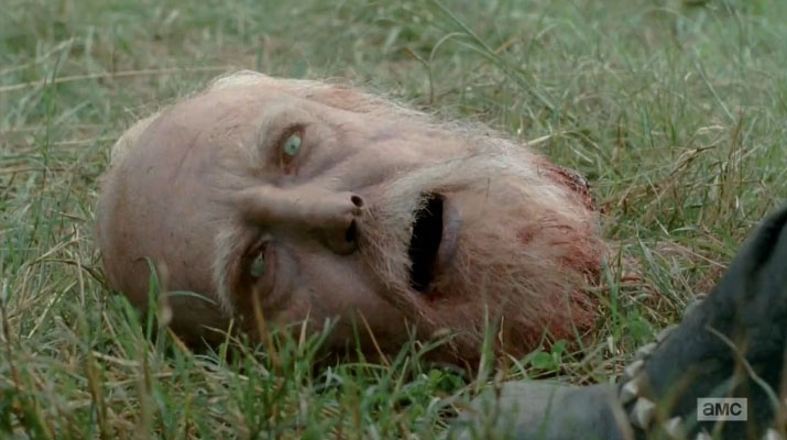 the walking dead after