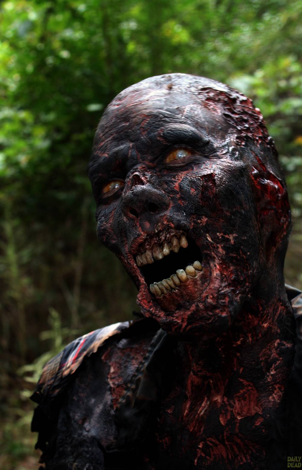the walking dead the grove 3