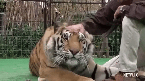 Tiger King Netflix