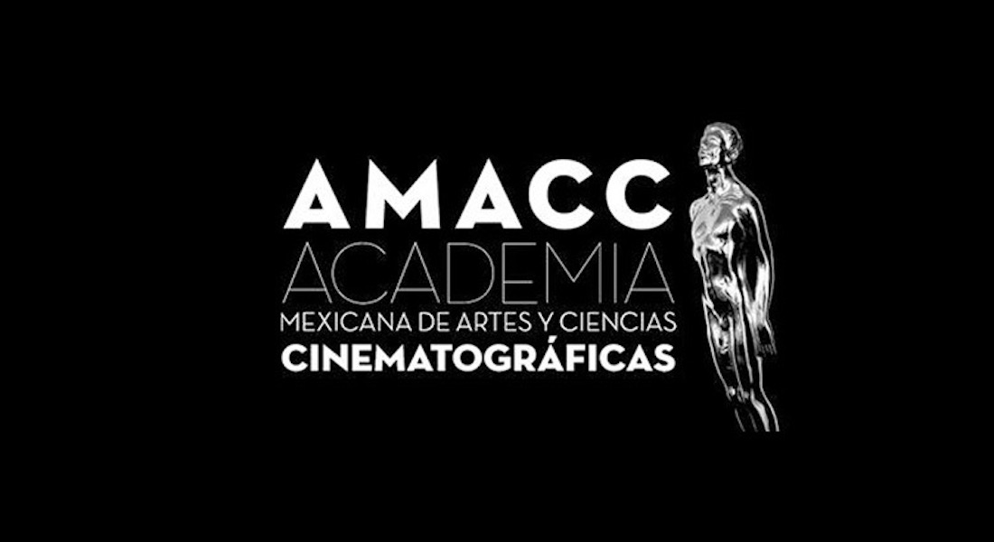 «No politicen el cine. No somos parte de un botín político»: AMACC sobre desaparición de FIDECINE. Noticias en tiempo real