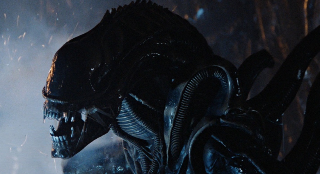 Hay pláticas «de vez en cuando» para posible serie de Alien: Noah Hawley. Noticias en tiempo real