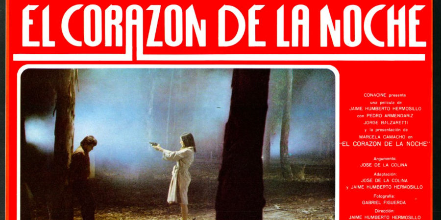 Jaime Humberto Hermosillo películas