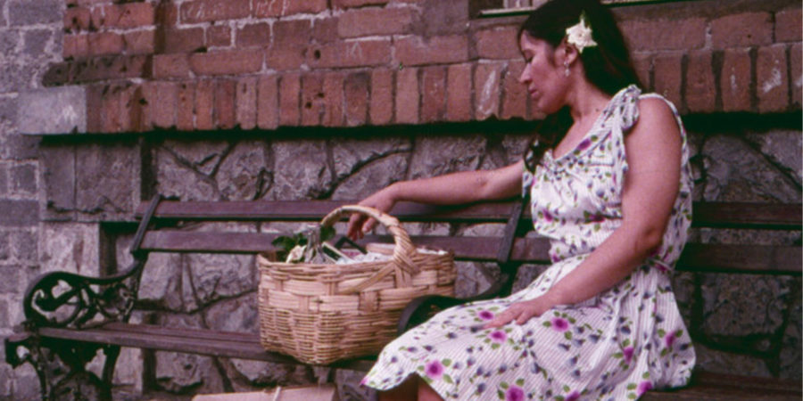 Jaime Humberto Hermosillo películas