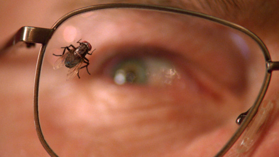 Breaking Bad mosca